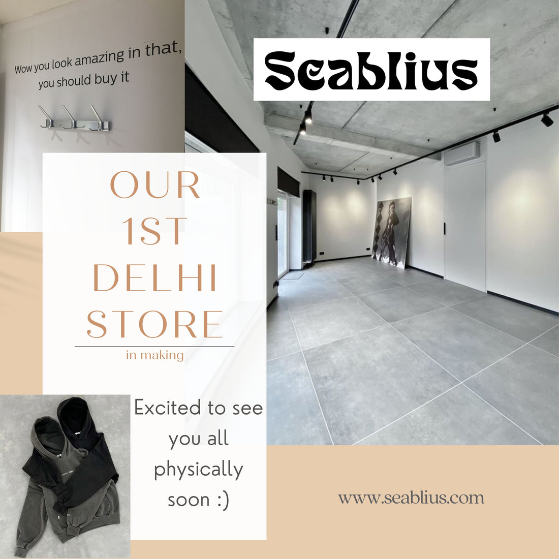 Building Seablius's First Premium Store in Delhi: A Journey Under Construction
